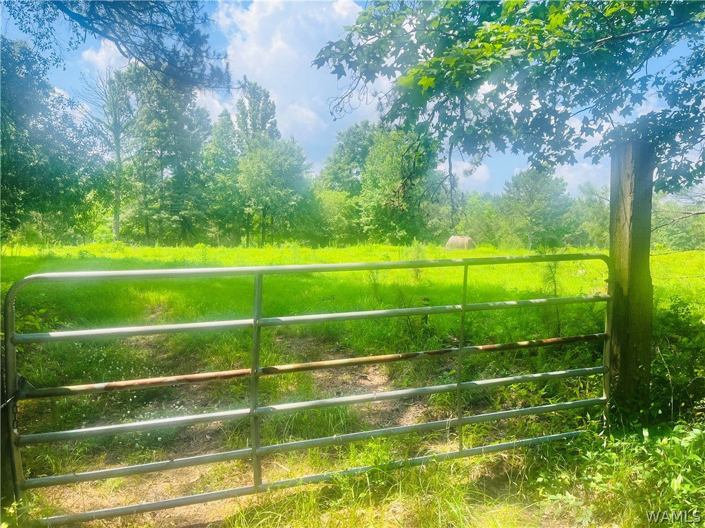 Image Unavailable