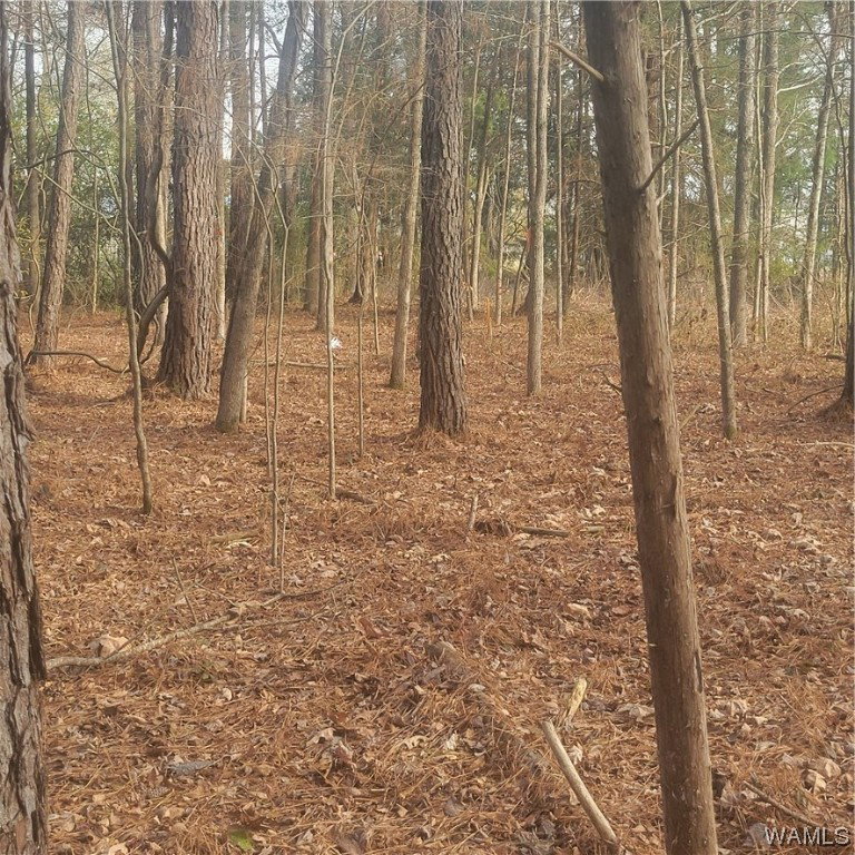 Image Unavailable