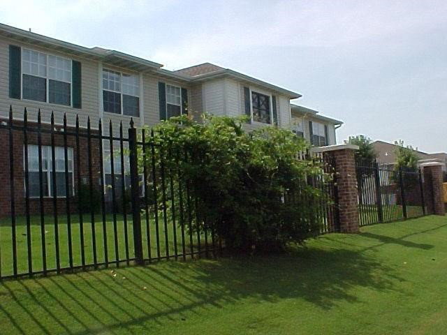 Media Image 1