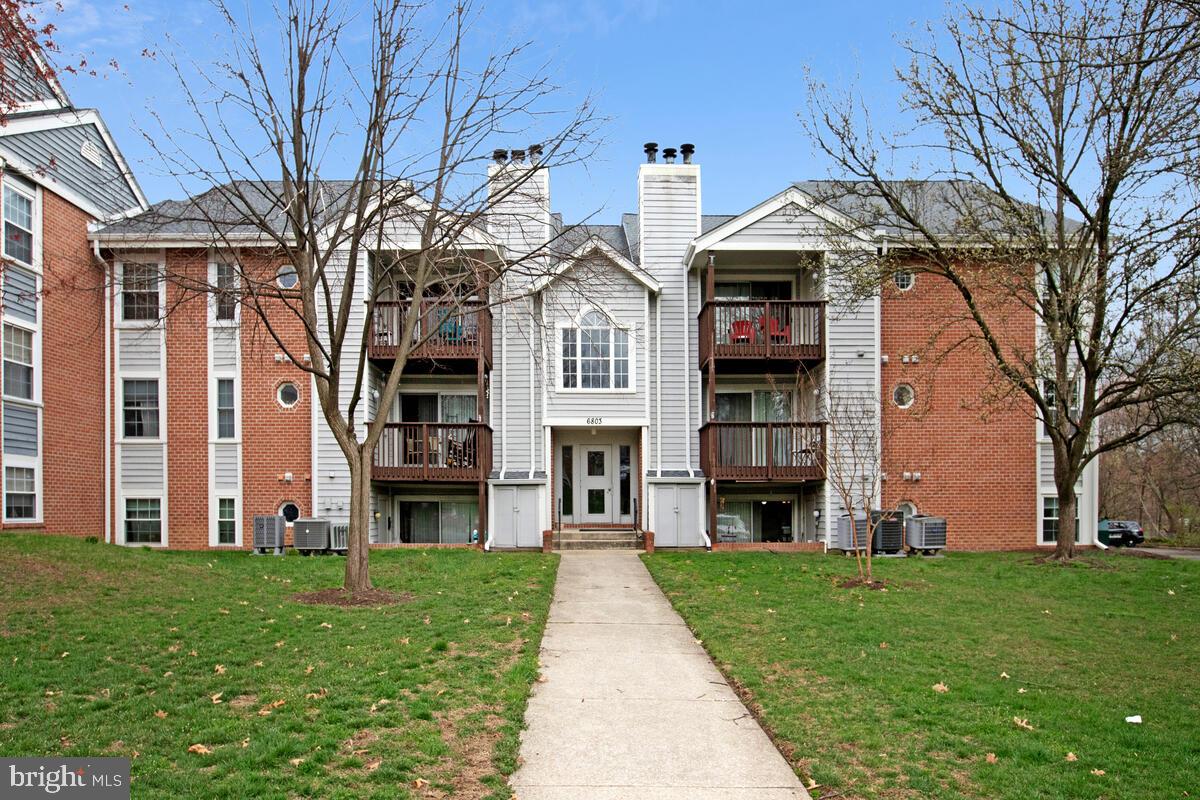 Media Image 1