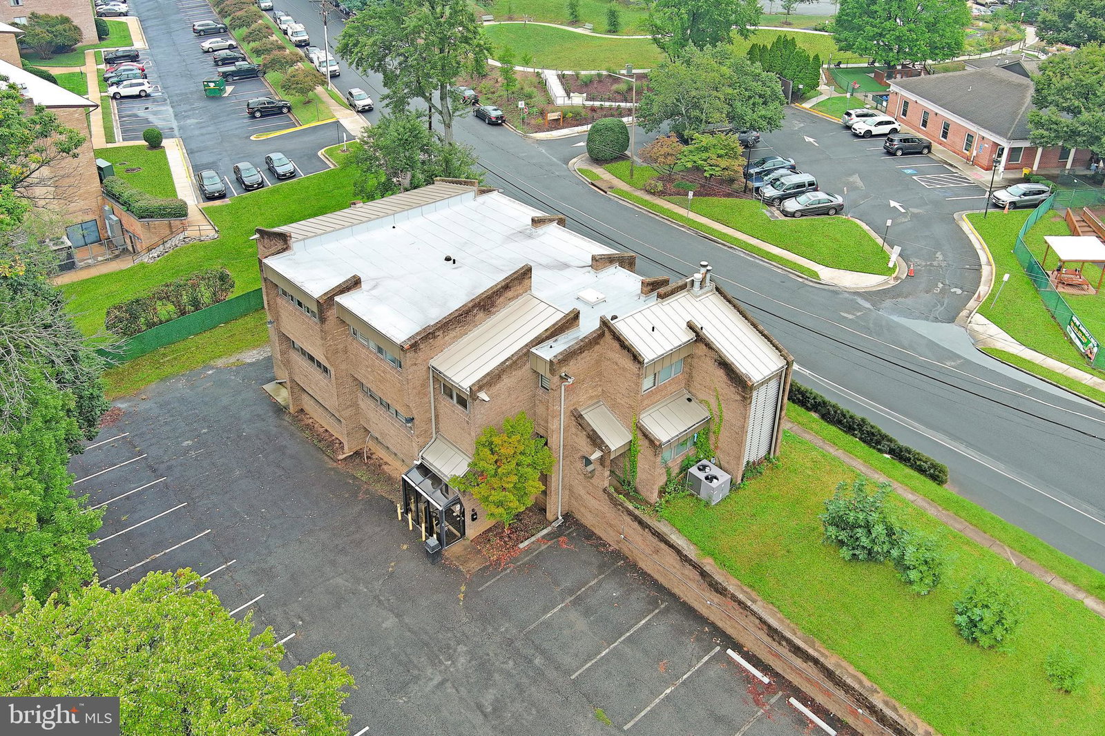 Media Image 1
