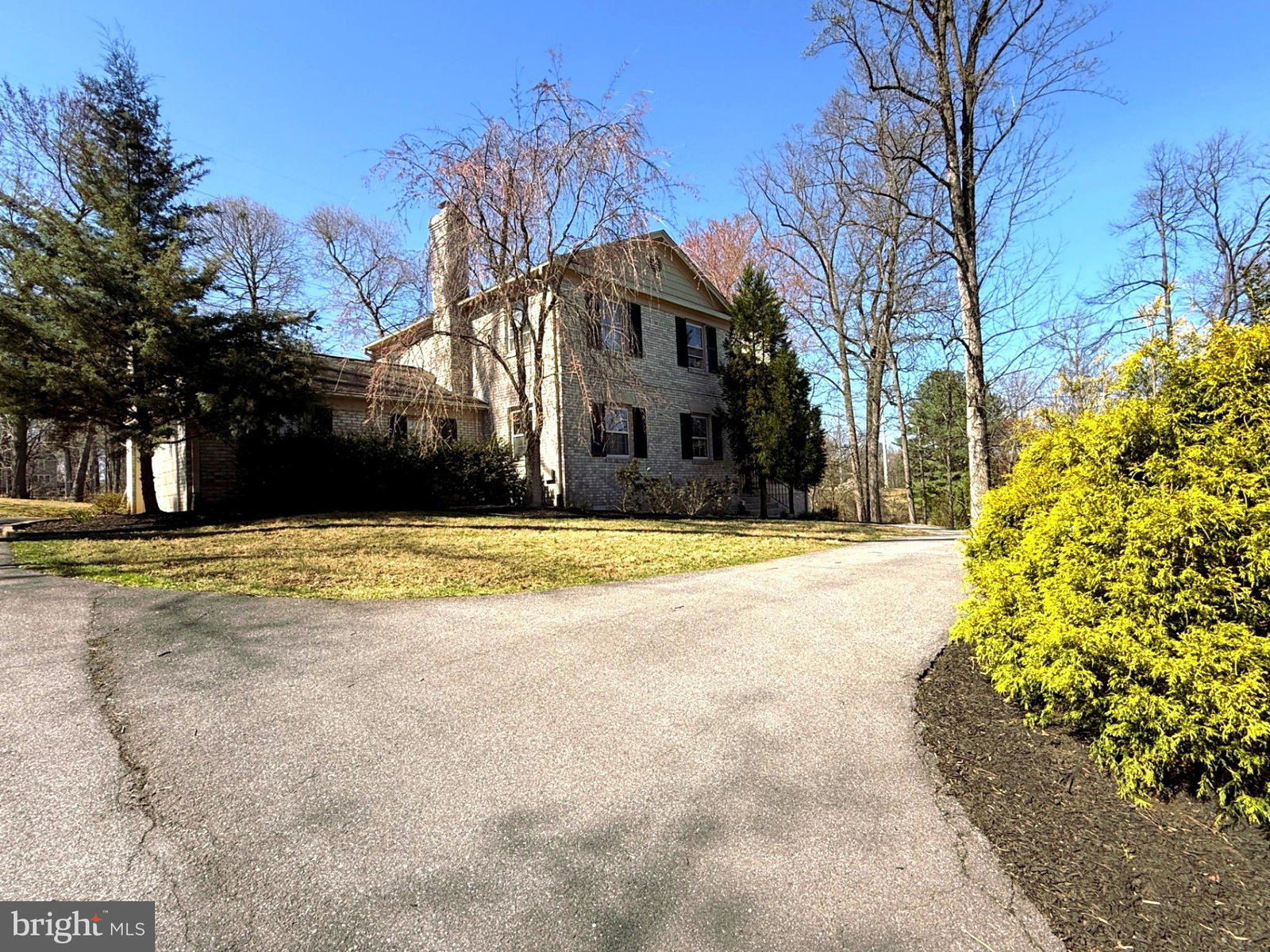 Media Image 3
