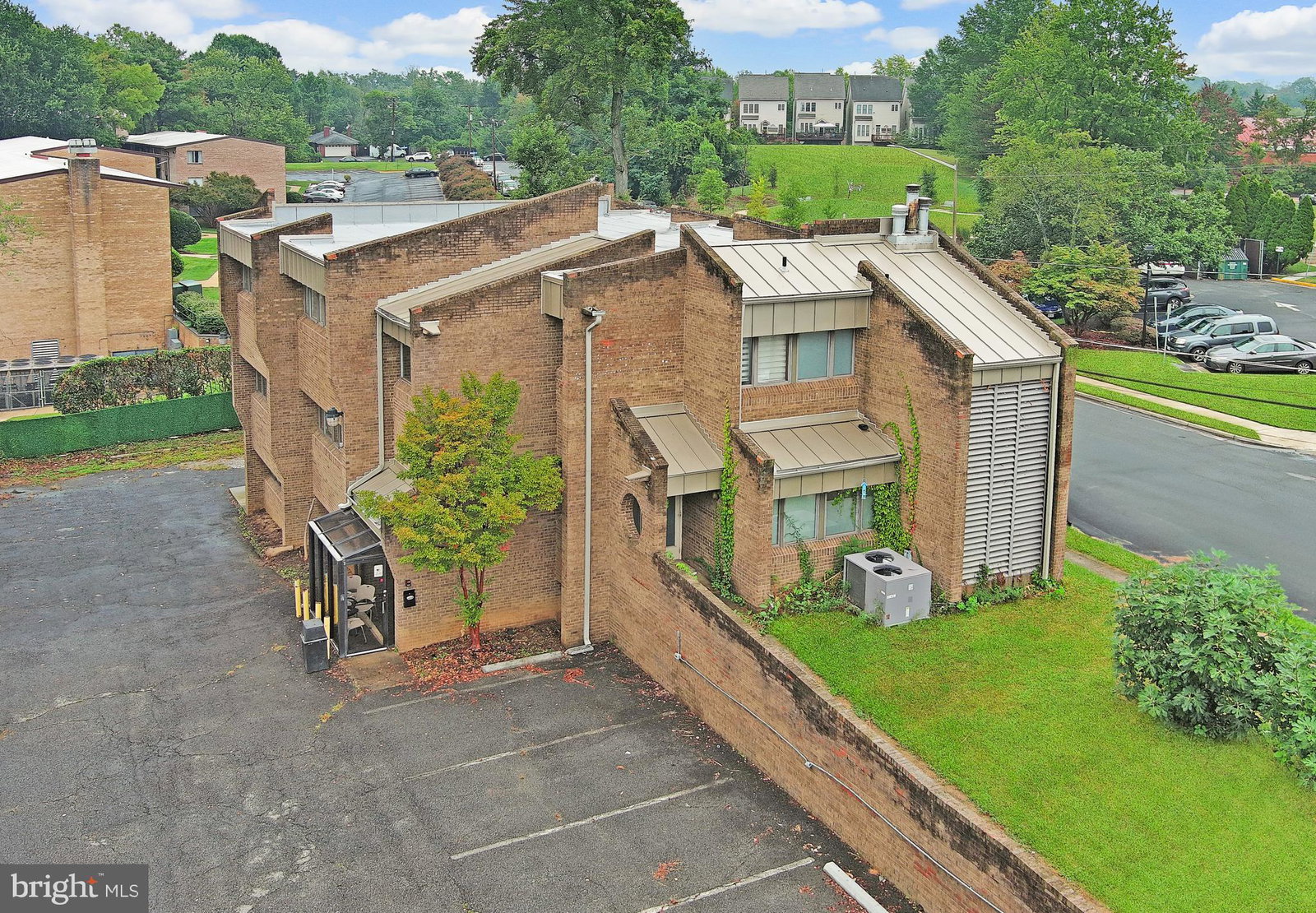 Media Image 3