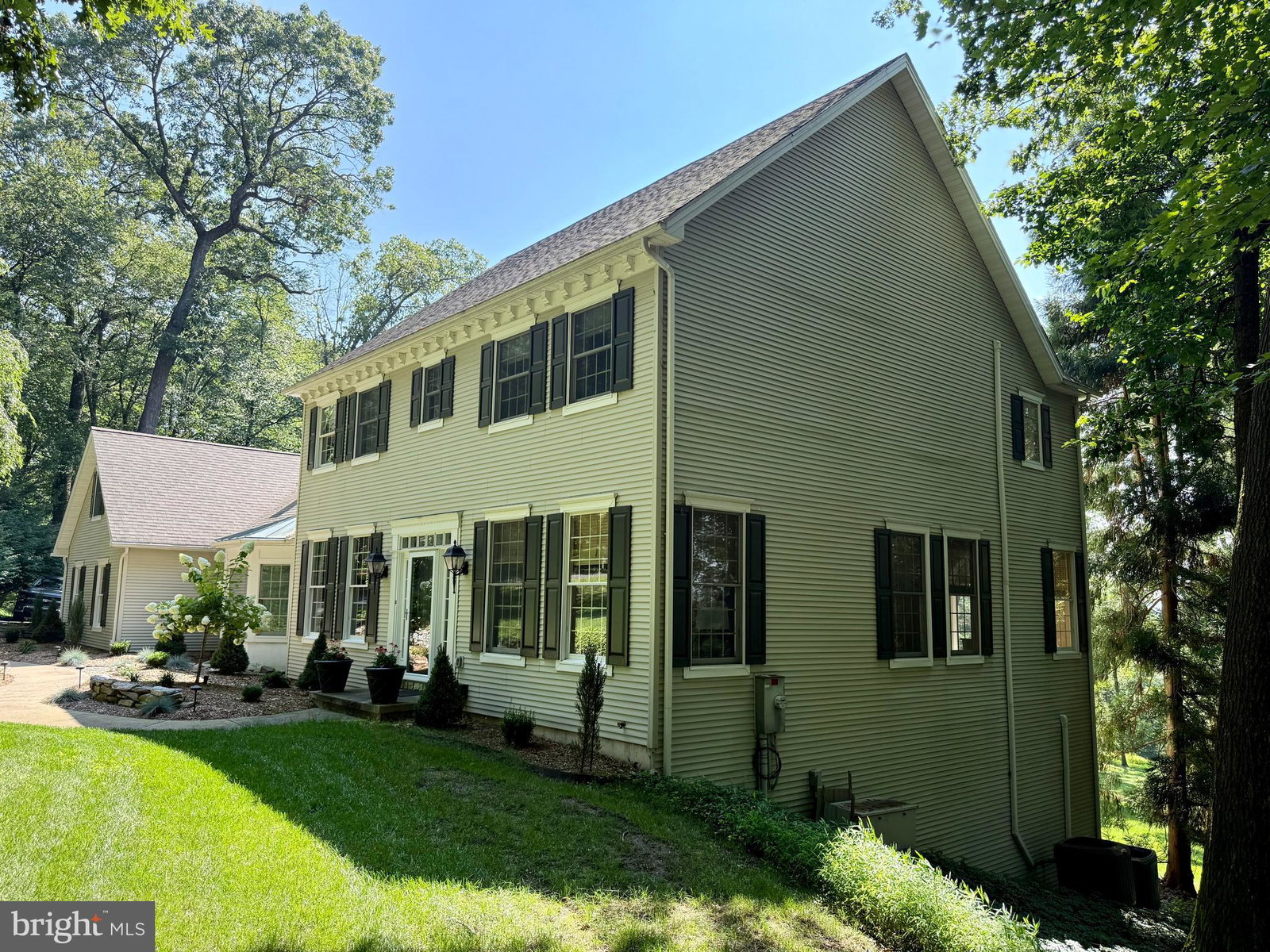 Media Image 2
