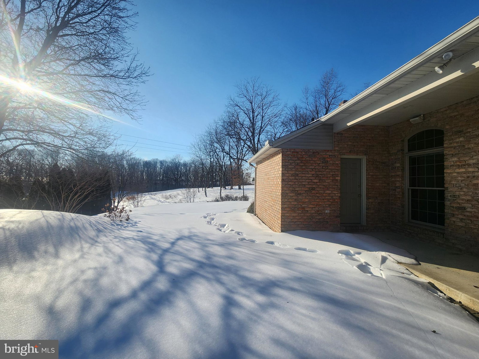 Media Image 3