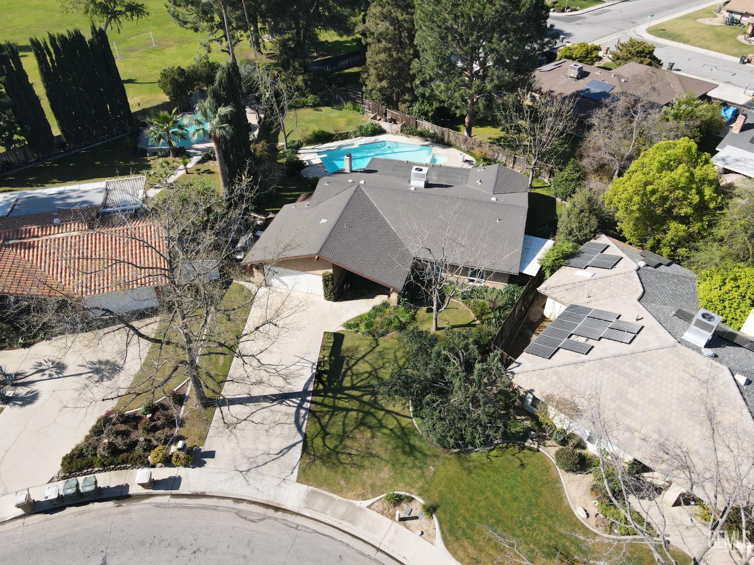 Media Image 1
