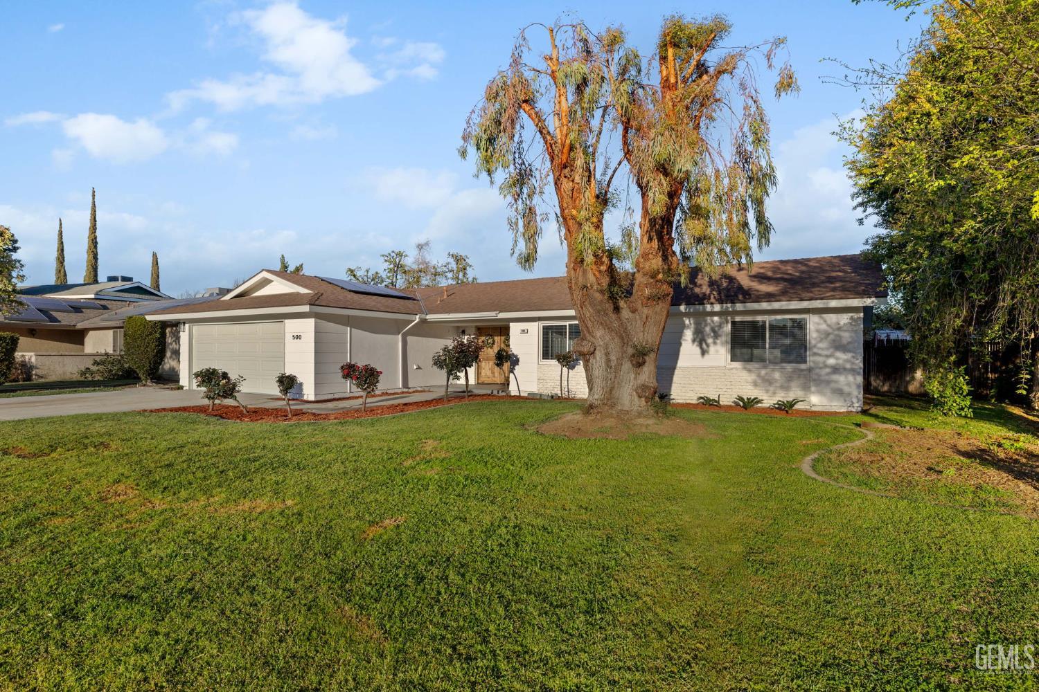 Media Image 2