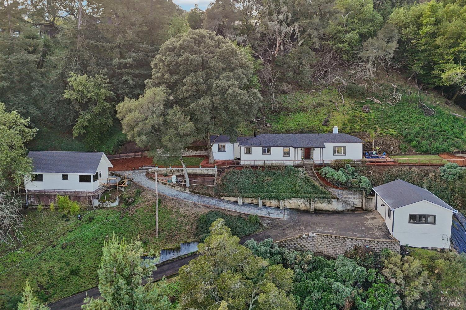Media Image 1