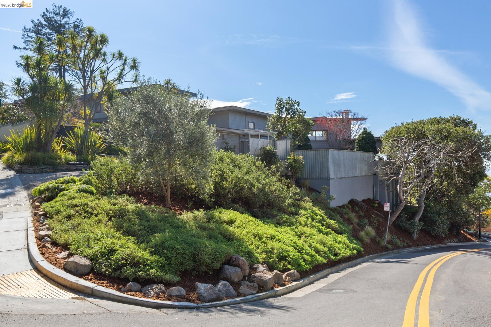 Media Image 2