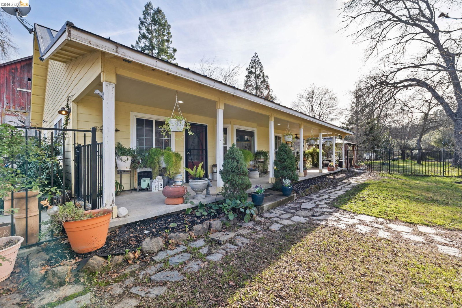 Media Image 1
