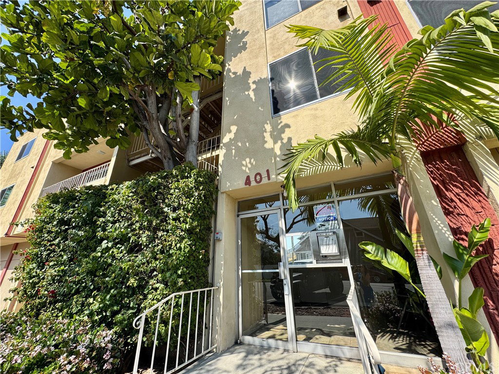 Media Image 2