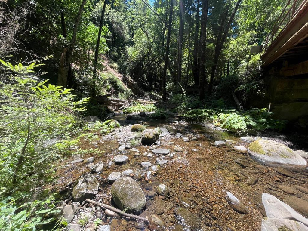 Media Image 1