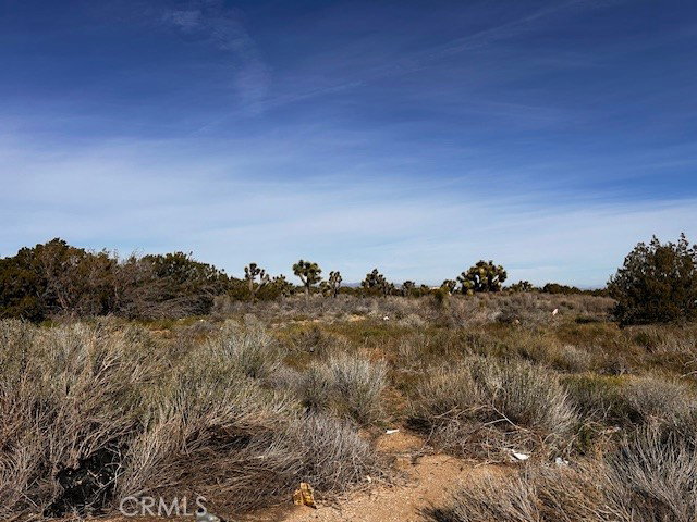 Media Image 1