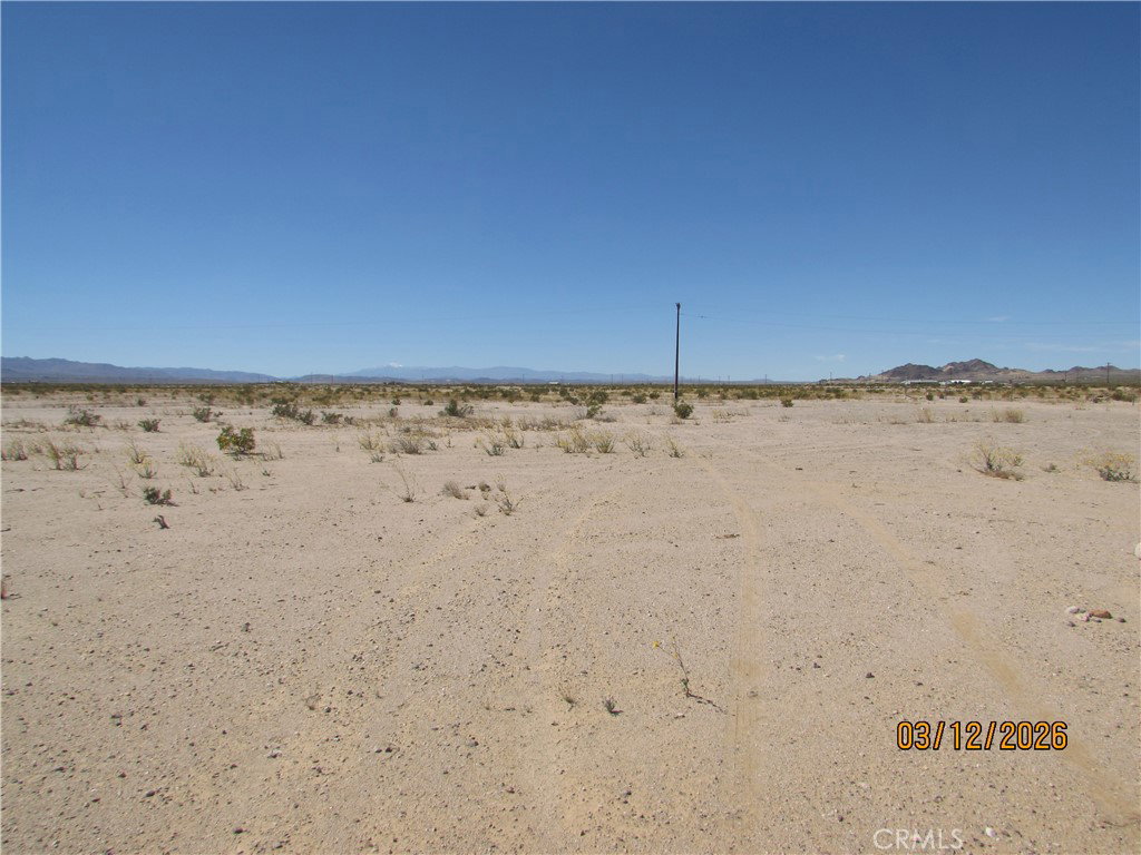 Media Image 3