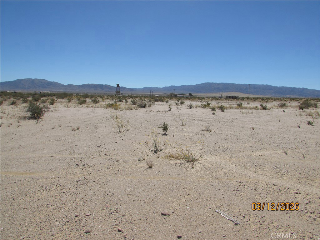 Media Image 1