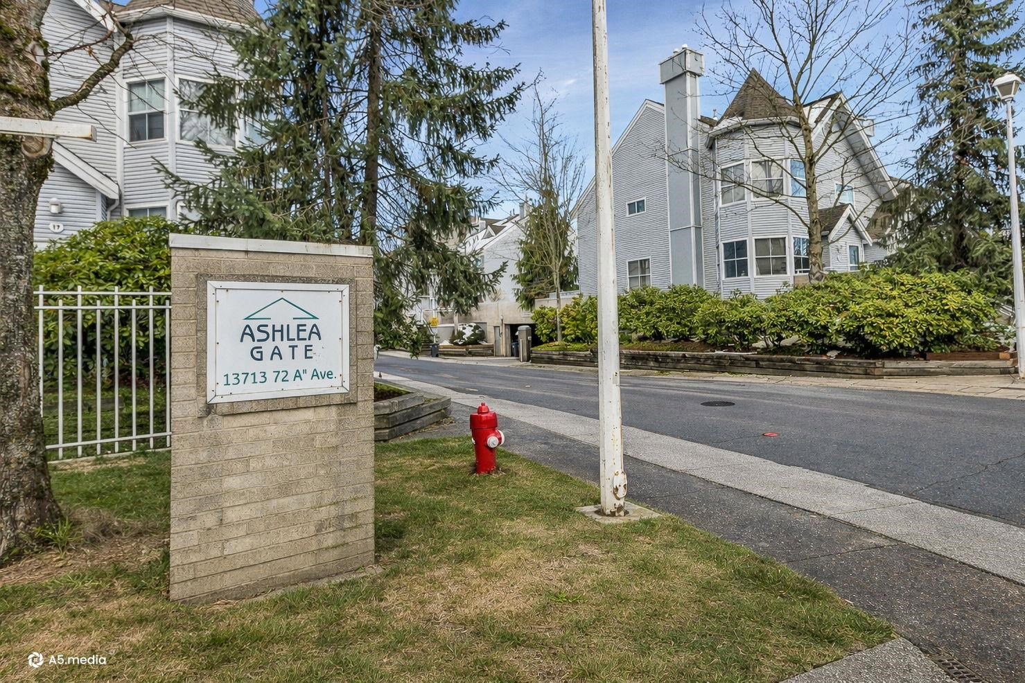 Media Image 2
