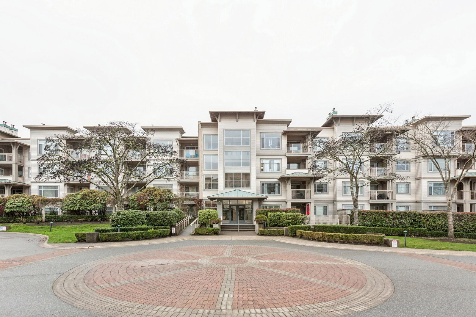 Media Image 2
