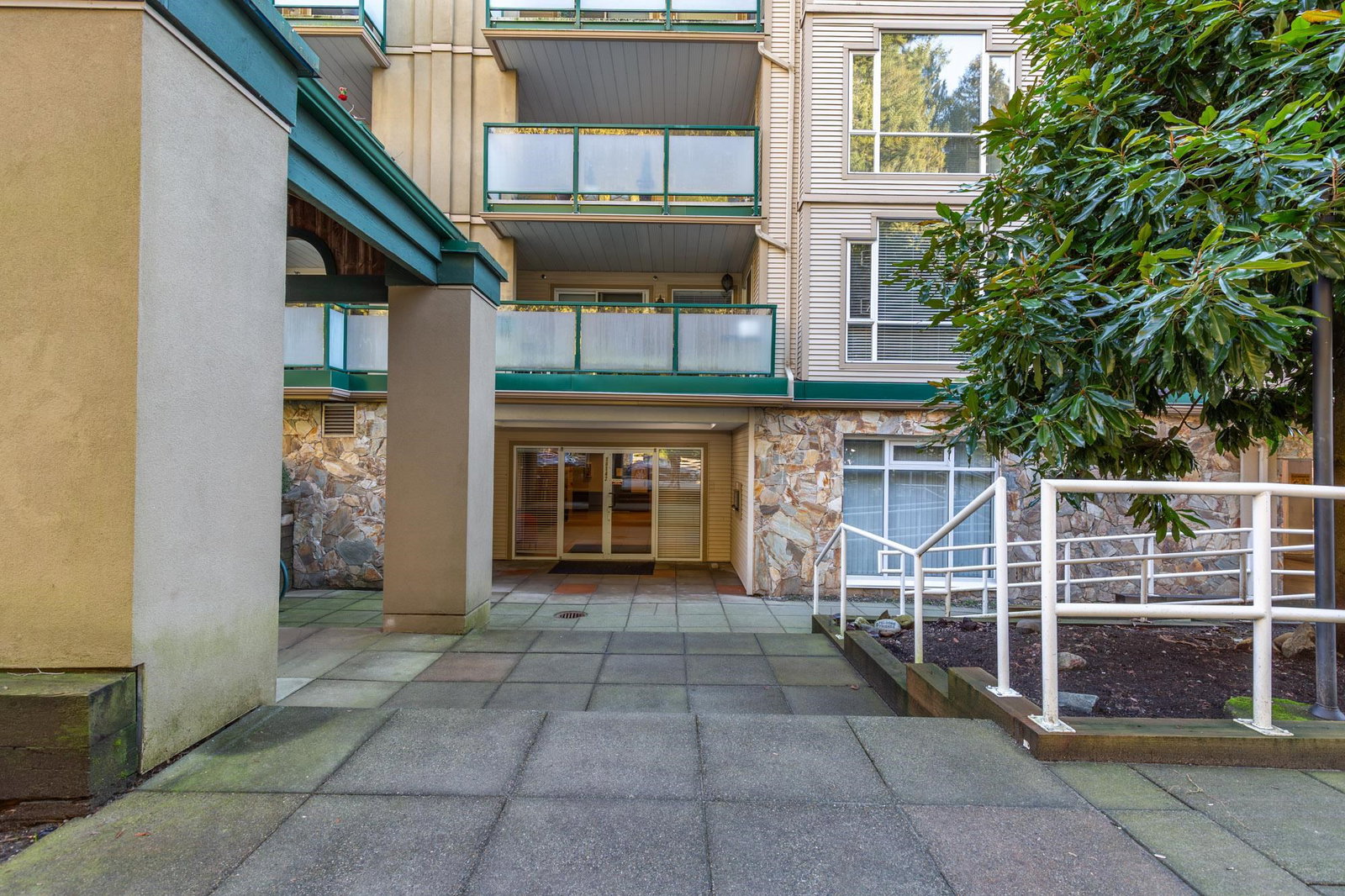 Media Image 3