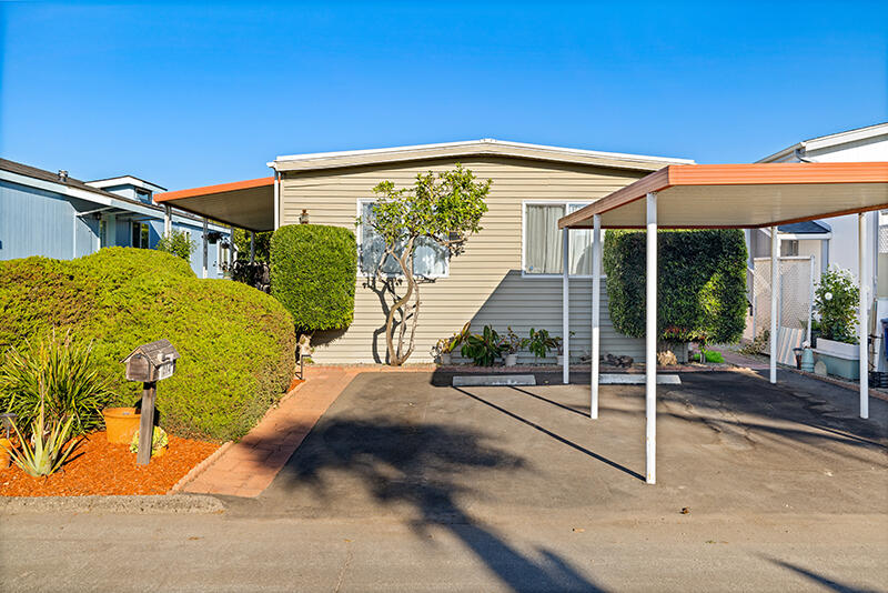 Media Image 3