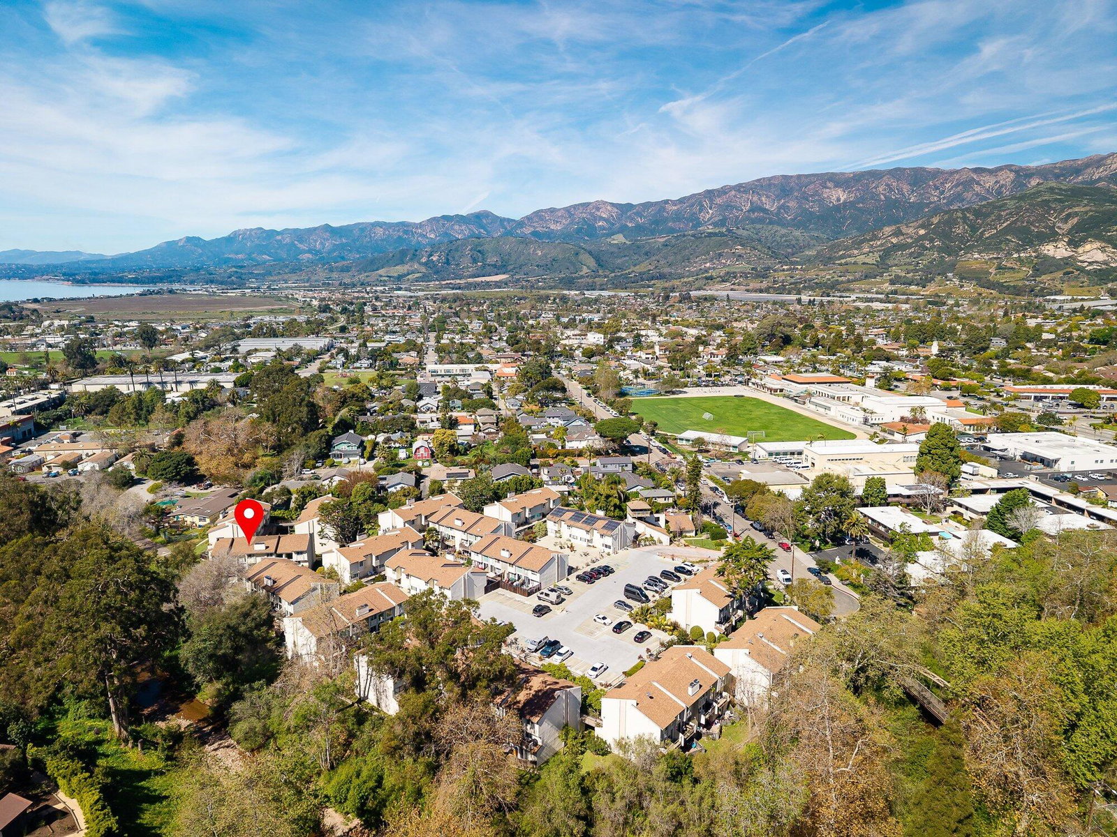 Media Image 1