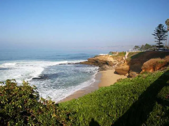 Media Image 2