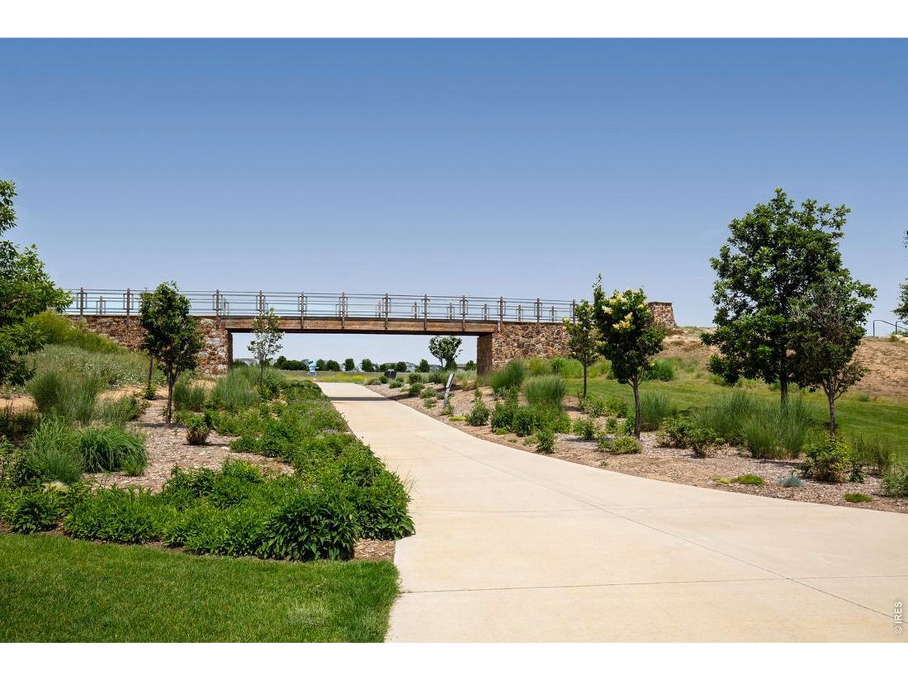 Media Image 3