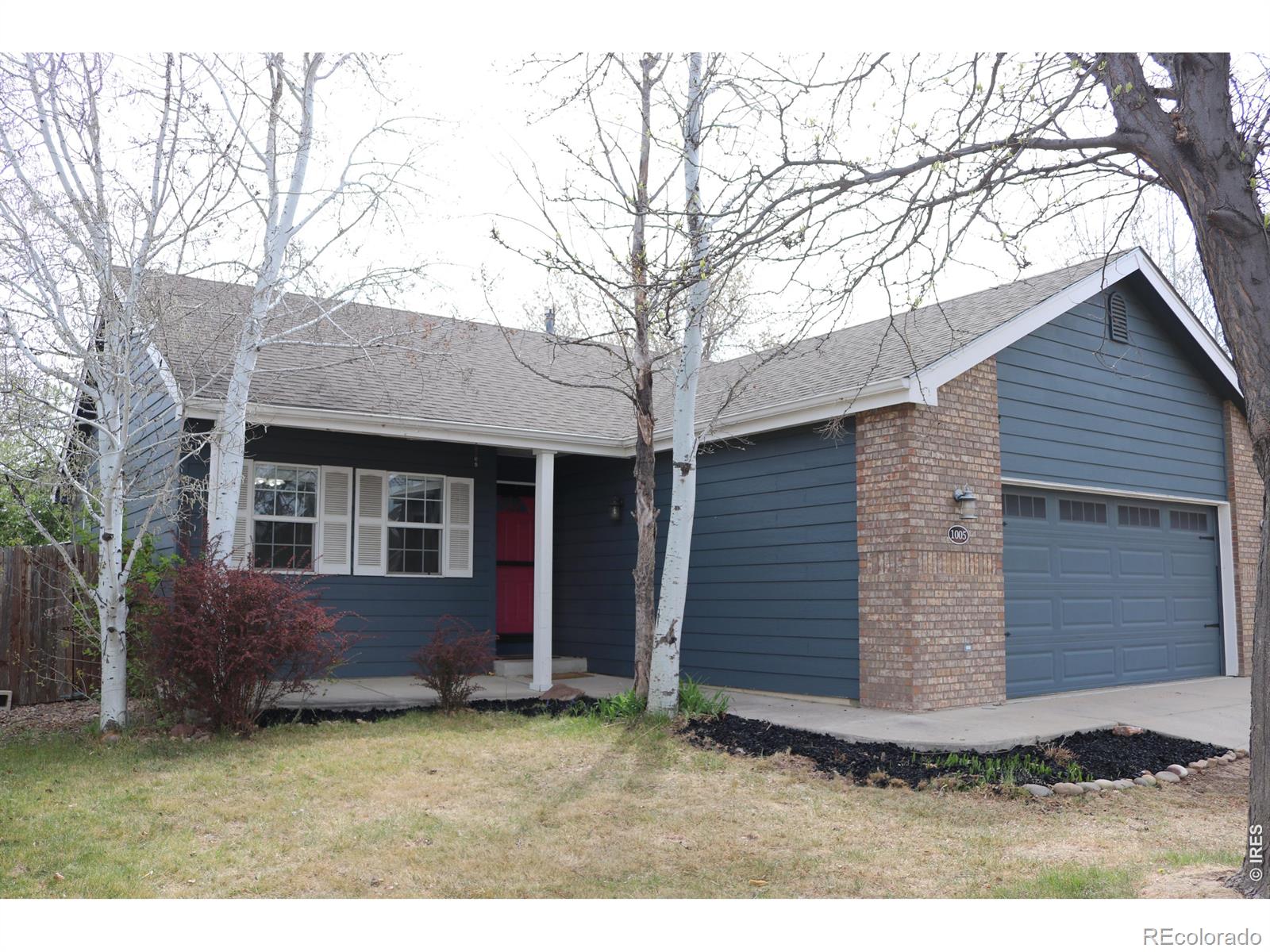 Media Image 2