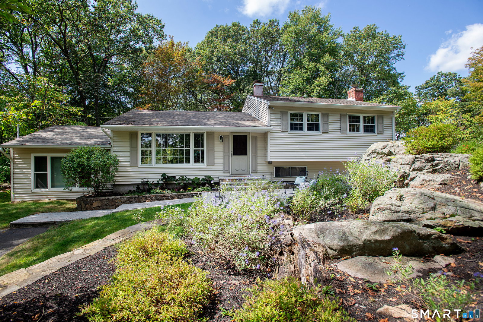 Media Image 1