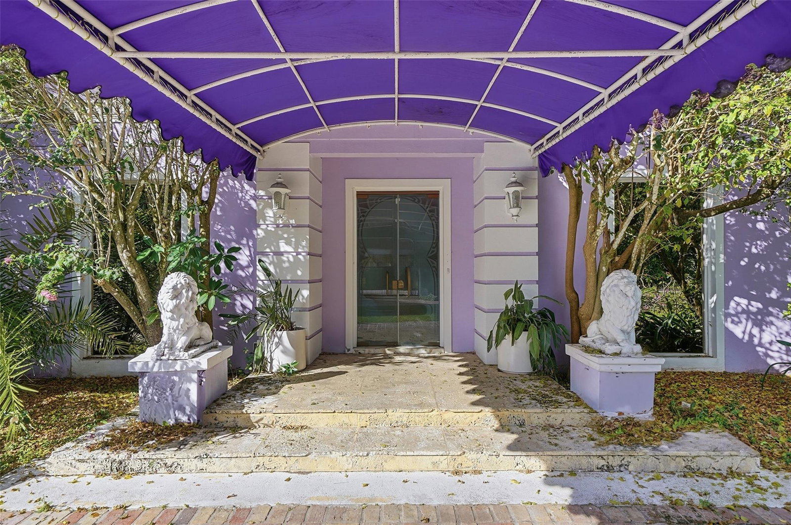 Media Image 1