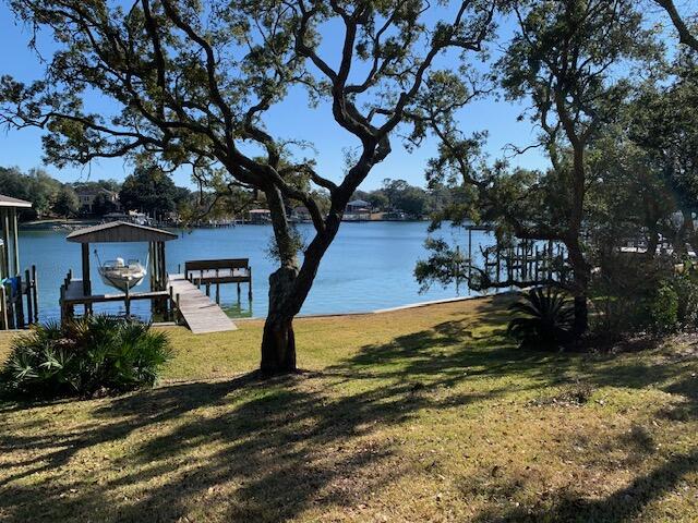 Media Image 1
