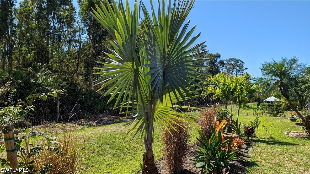 Media Image 3