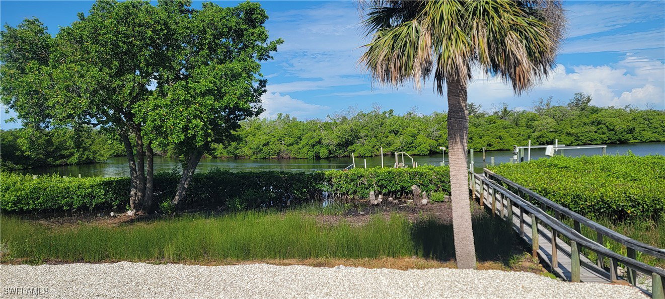 Media Image 3