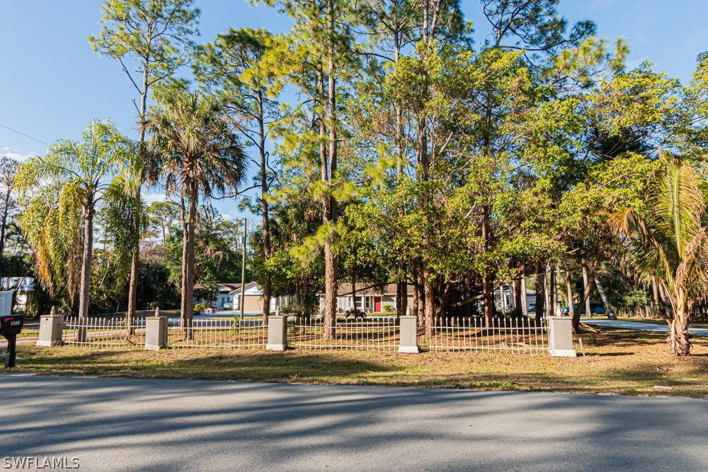 Media Image 1