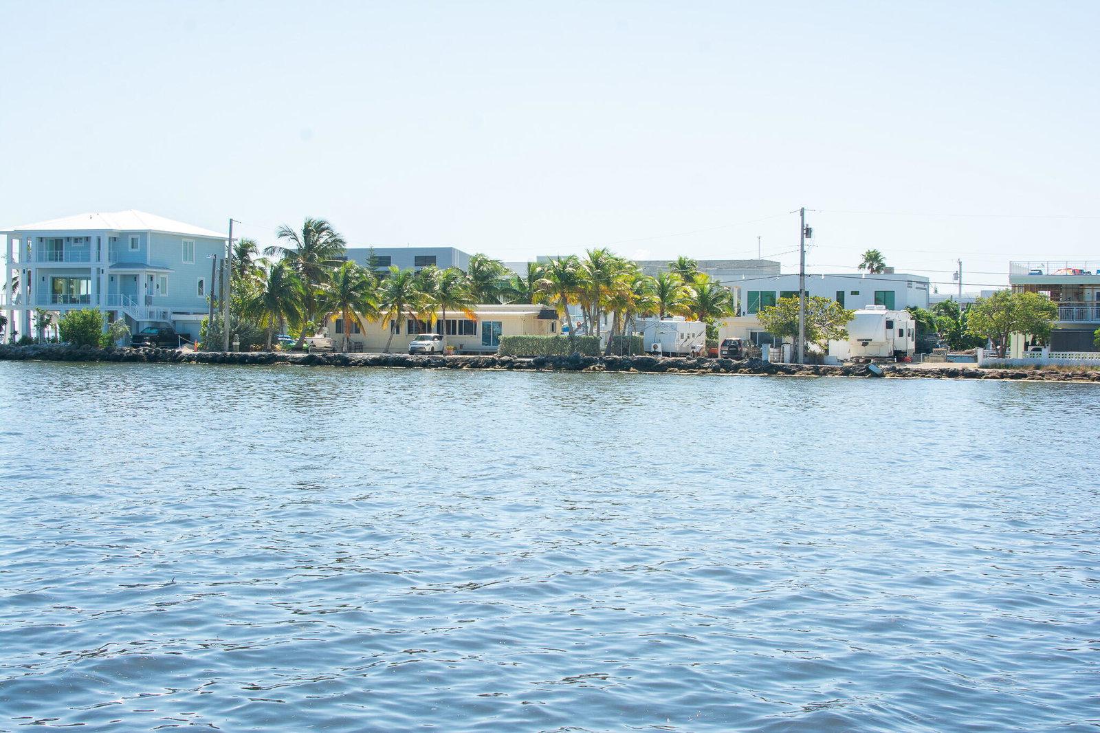 Media Image 1