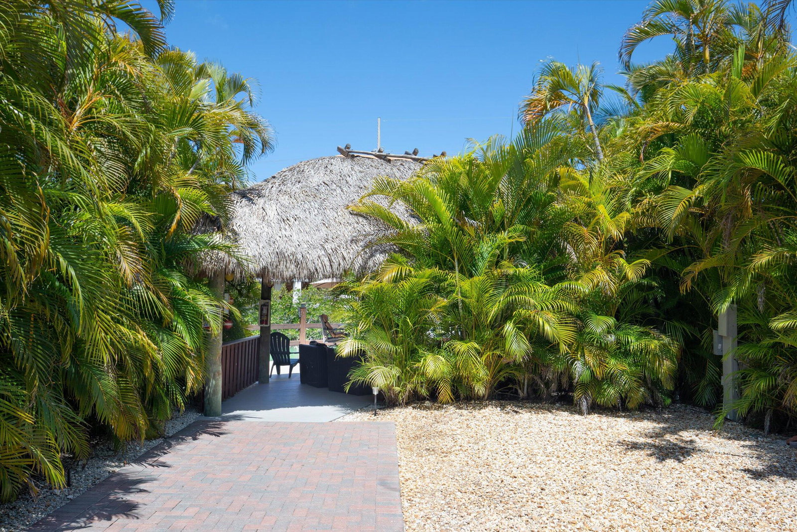 Media Image 3
