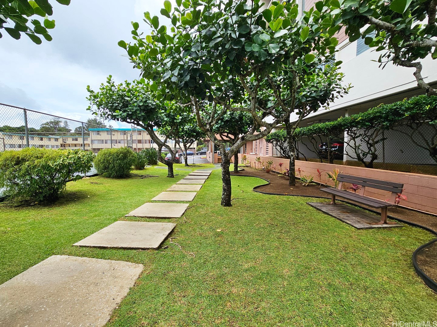 Media Image 2
