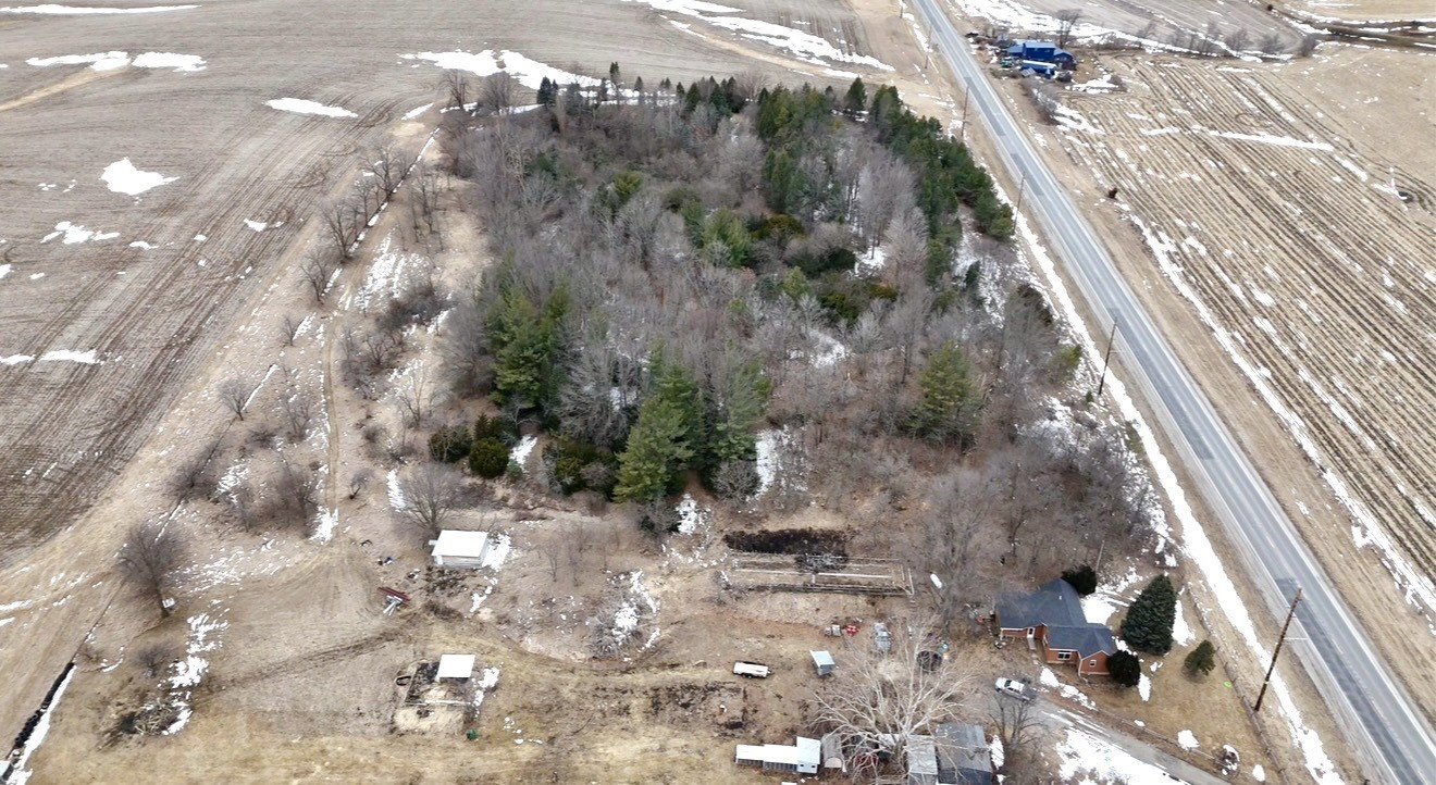 Media Image 2