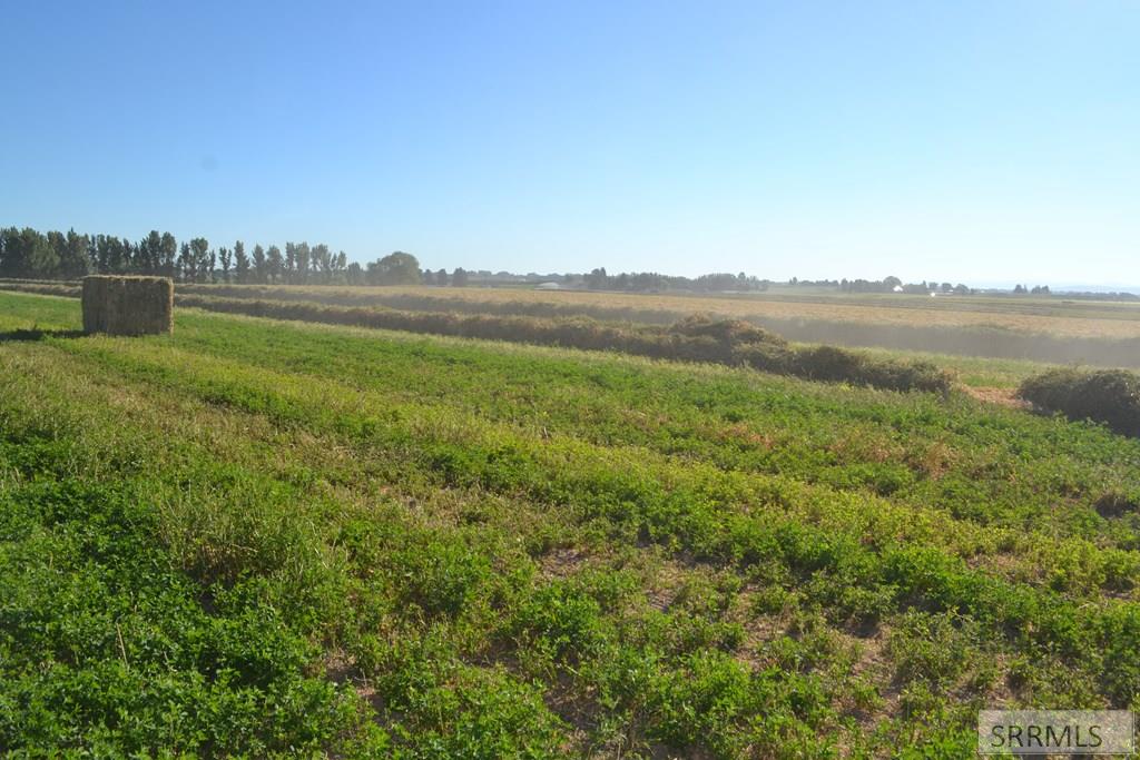 Media Image 2