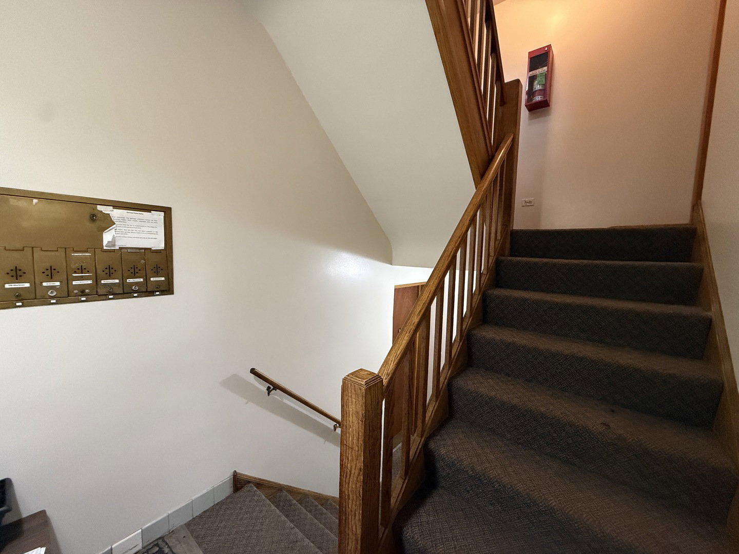 Media Image 3