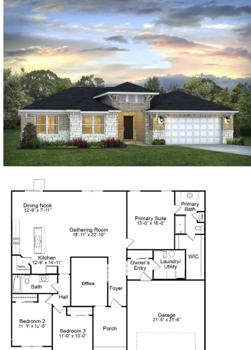 Media Image 1