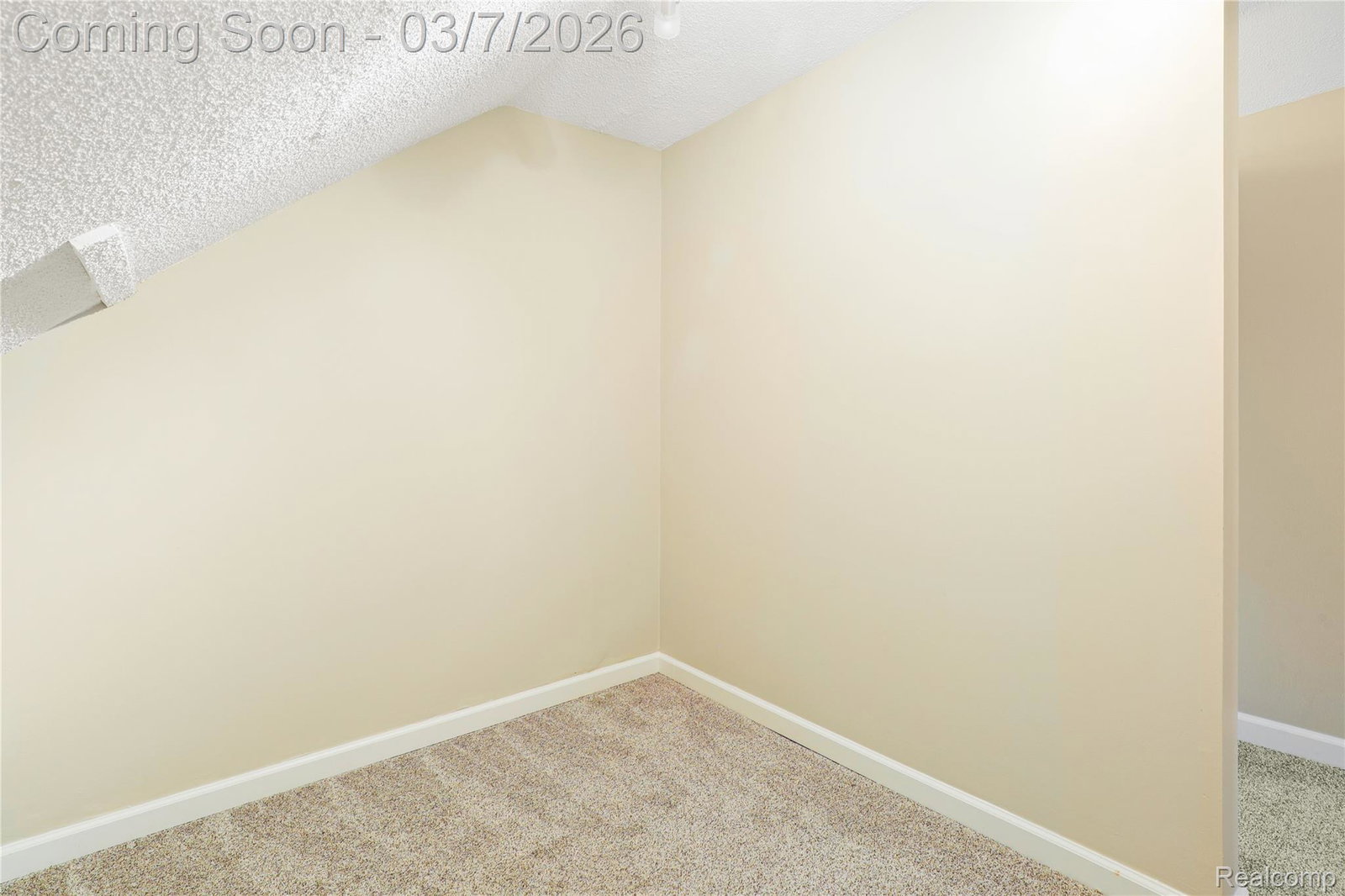 Media Image 3