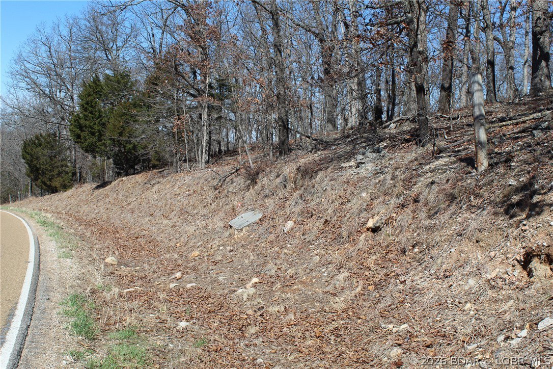 Media Image 1