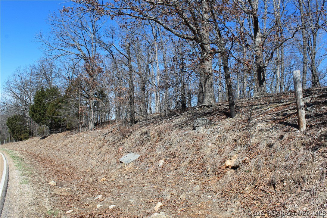 Media Image 3