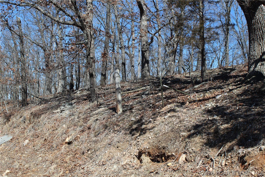 Media Image 2