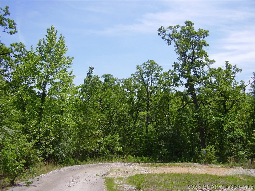 Media Image 1