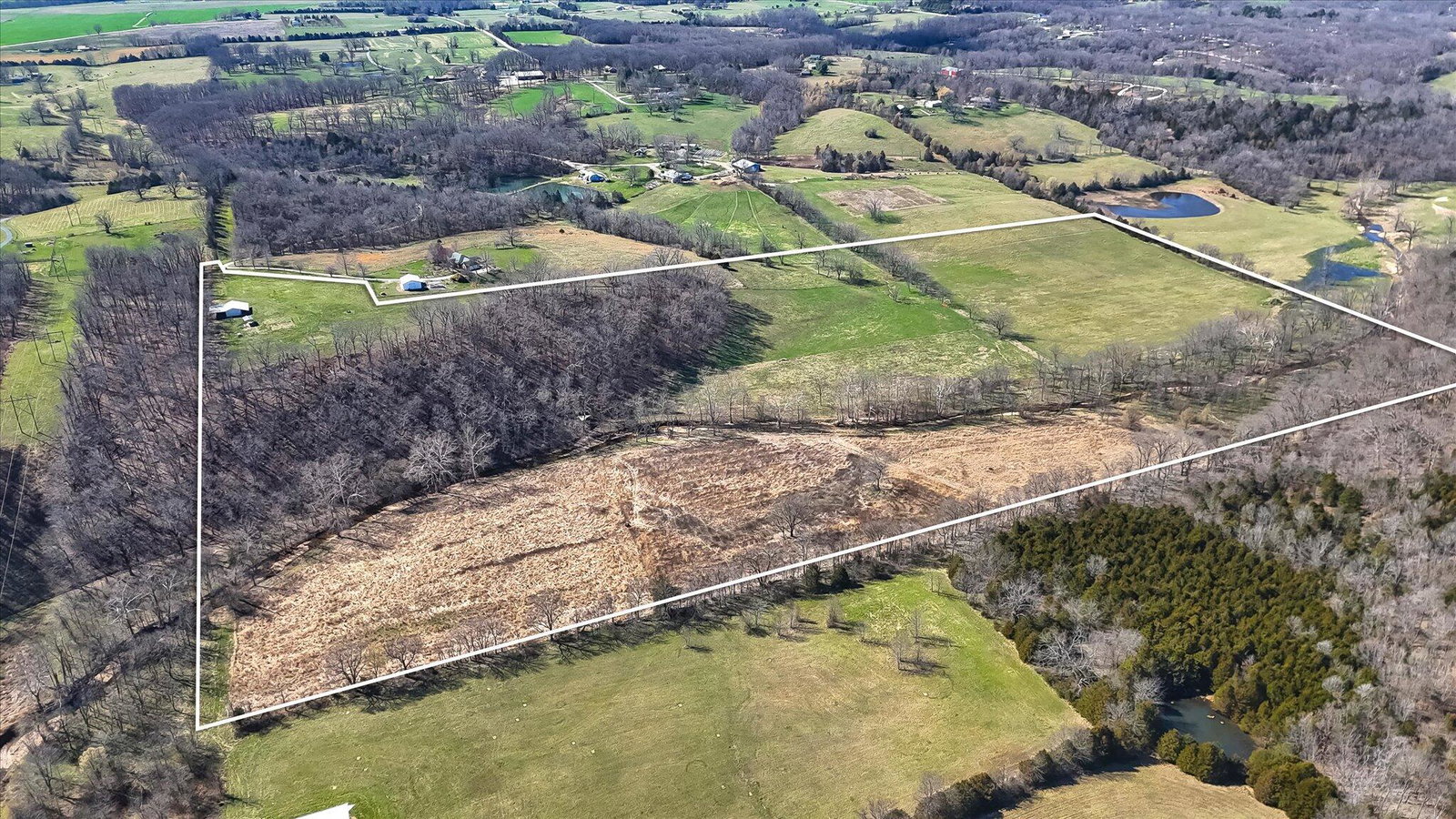 Media Image 3