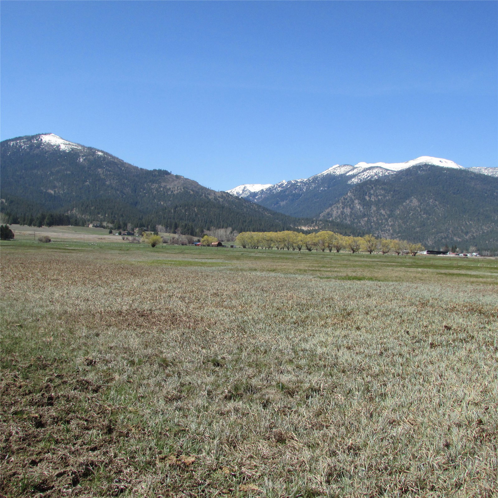 Media Image 3
