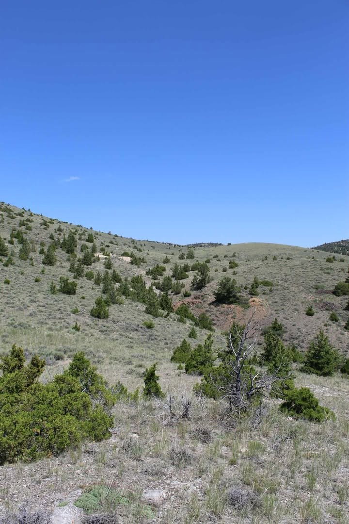 Media Image 1
