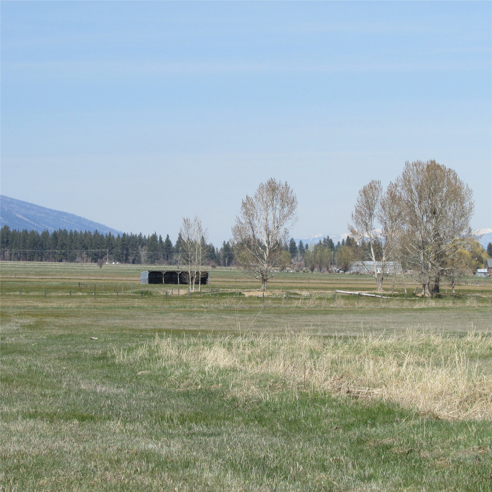 Media Image 1