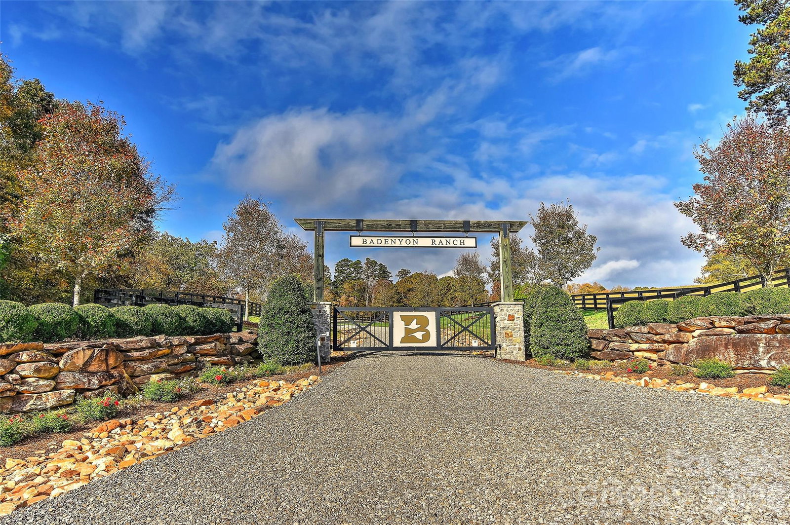 Media Image 2
